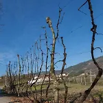 Сasa de vacaciones Casa Panoramica Aurora *