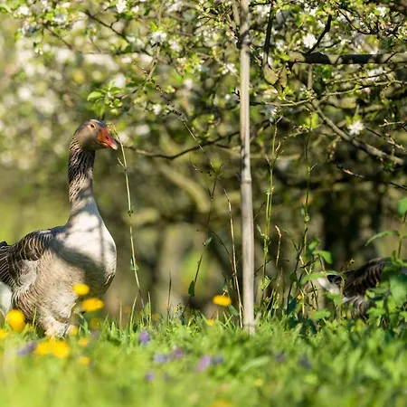 Дом отдыха Casa Panoramica Aurora *