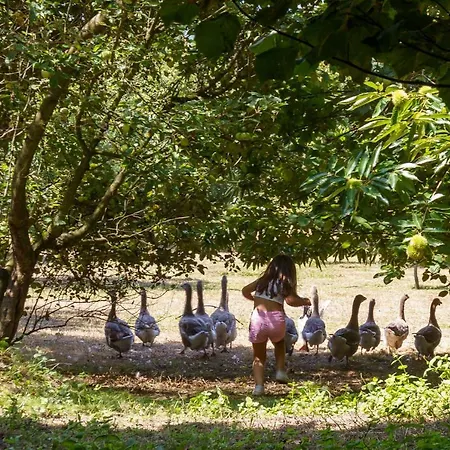 Casa Panoramica Aurora