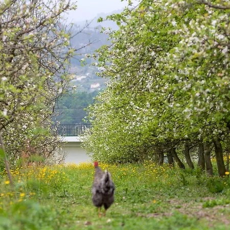 Дом отдыха Casa Panoramica Aurora *