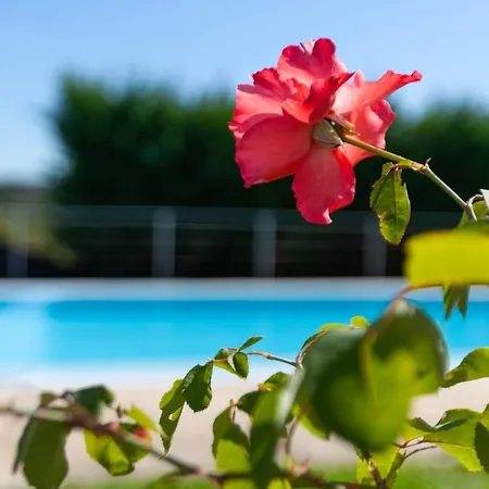 Semesterbostad Casa Panoramica Aurora Celorico De Basto