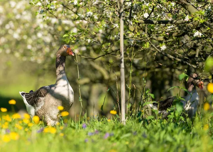 펜션 Casa Panoramica Aurora *