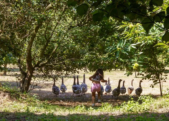 Casa Panoramica Aurora