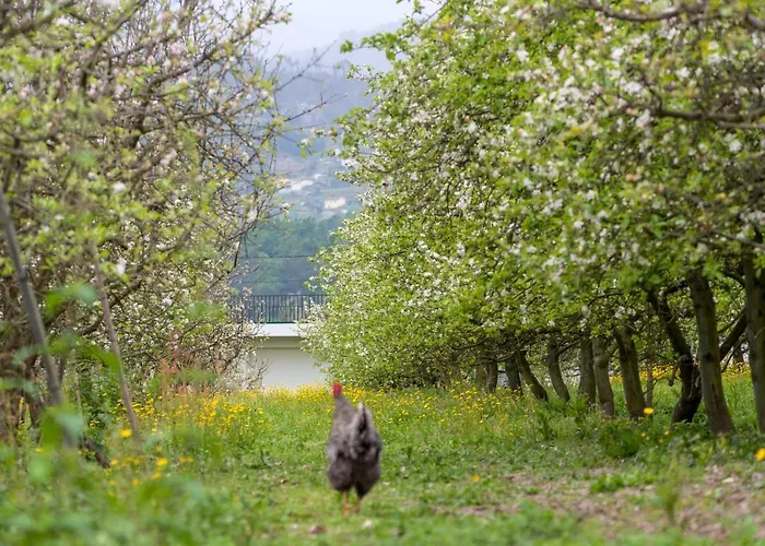 펜션 Casa Panoramica Aurora *
