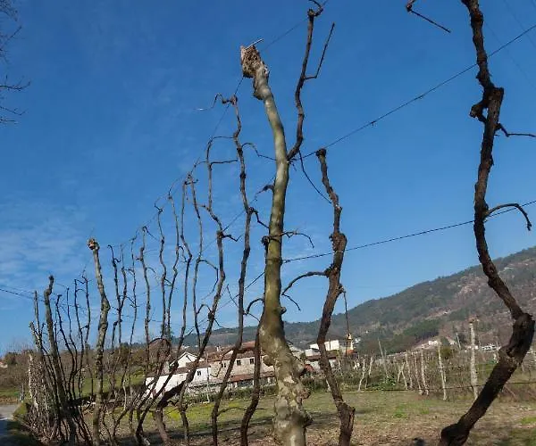 Дом отдыха Casa Panoramica Aurora *