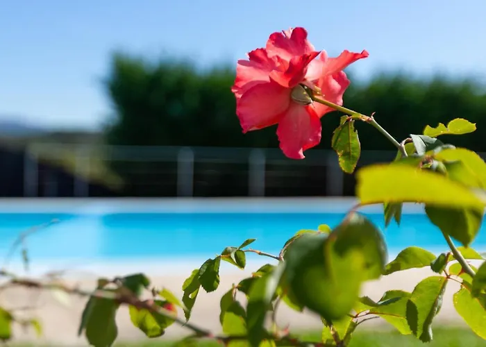 Дом отдыха Casa Panoramica Aurora Селорику-ди-Башту